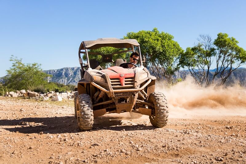 farm buggy tours