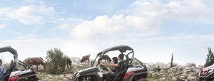 Buggy Safari Dubrovnik