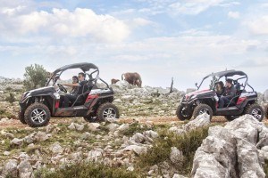 Buggy Dubrovnik