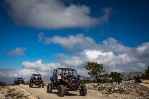 buggy premium