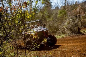 buggy premium tour