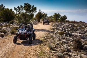buggy safari premium